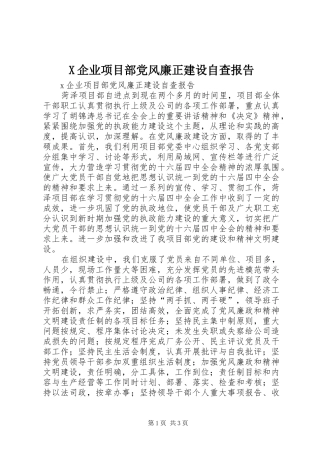2024年企业项目部党风廉正建设自查报告