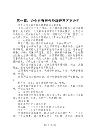 2024年企业自查报告经济开发区支公司