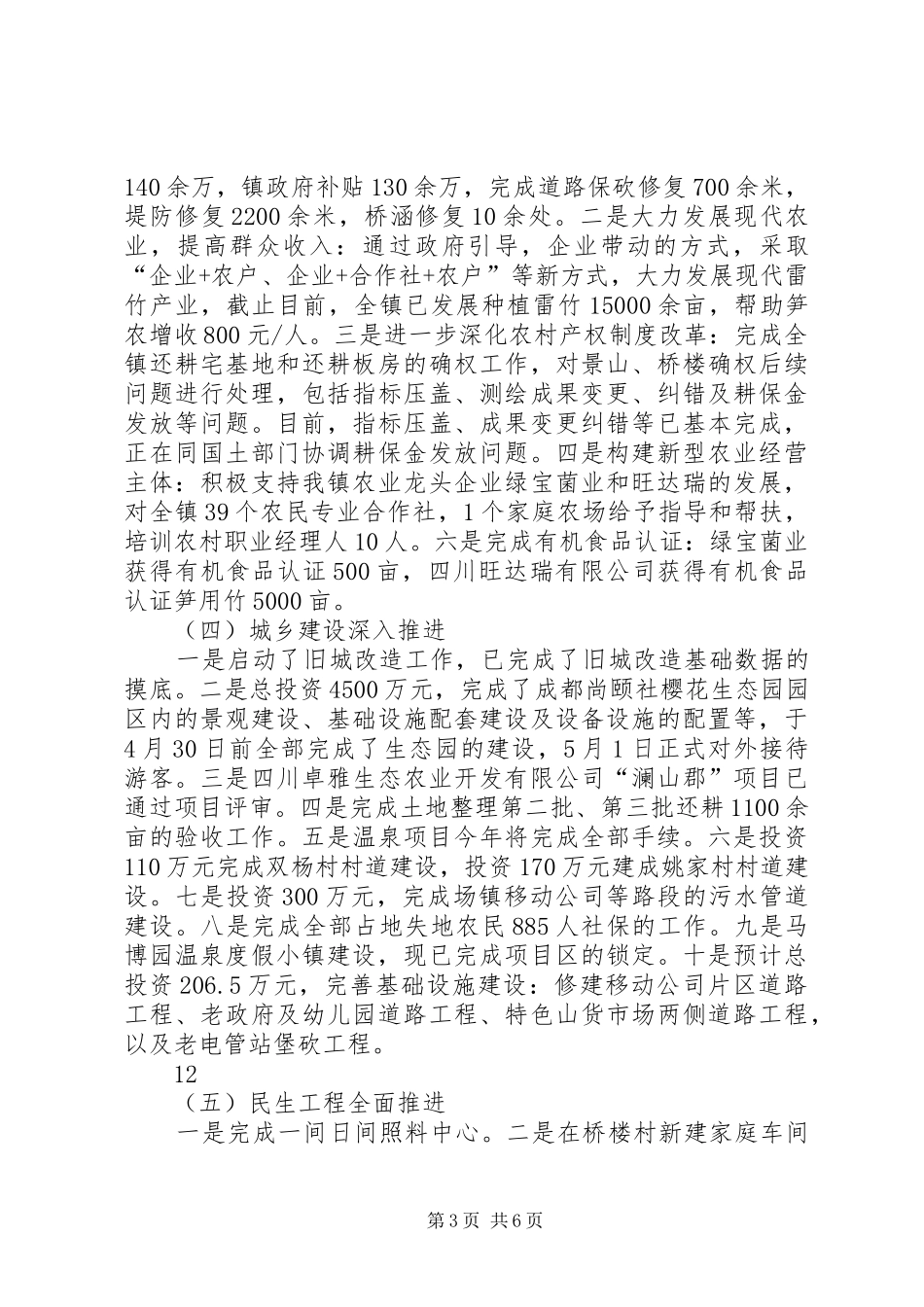 2024年人民政府工作总结和工作计划_第3页