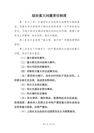 2024年综治重大问题责任制度