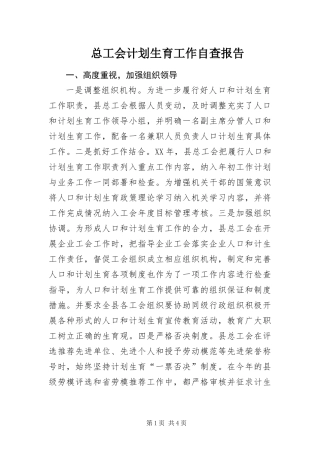 2024年总工会计划生育工作自查报告