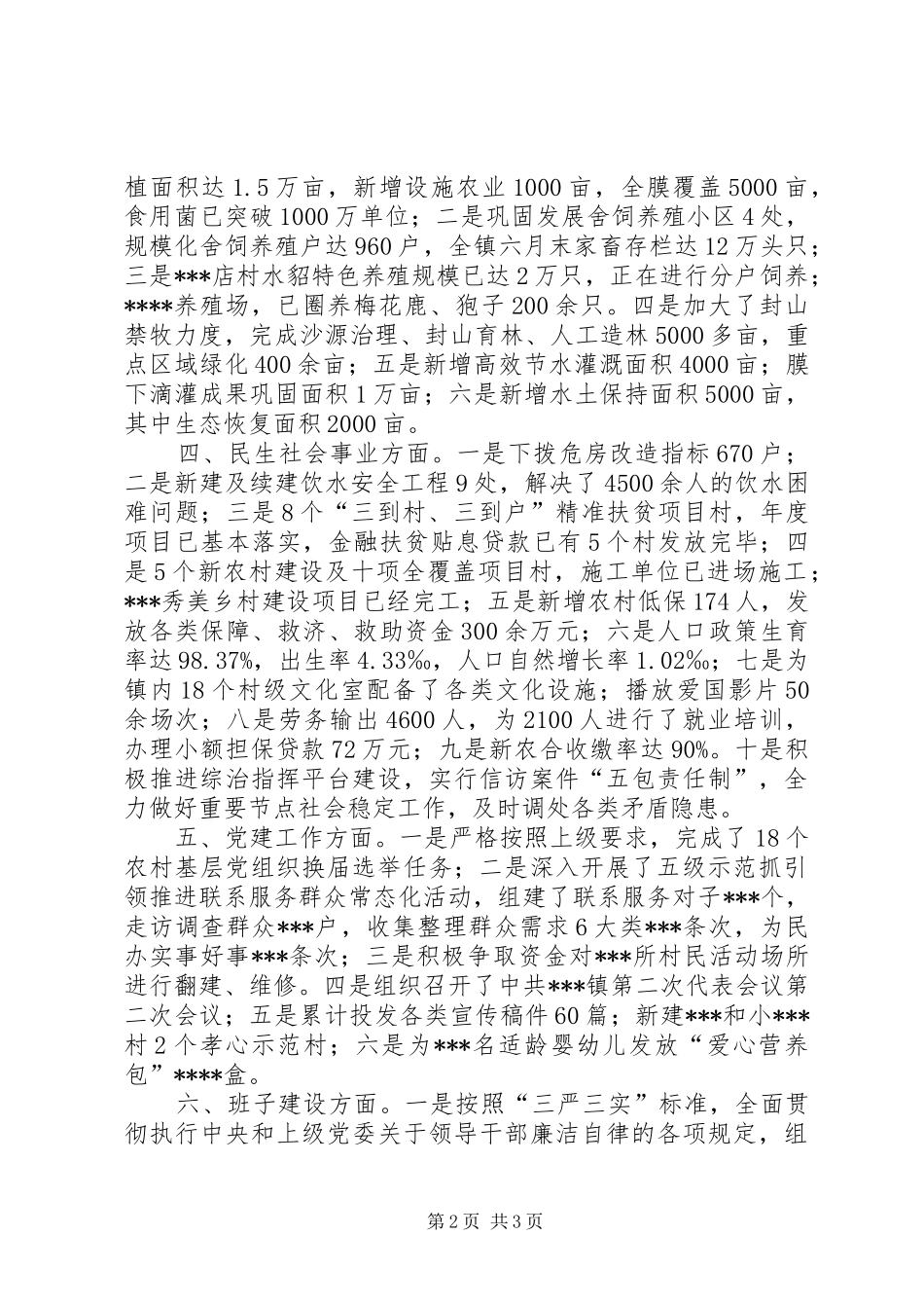 2024年上半年镇党政班子述职报告_第2页