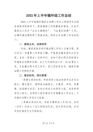 2024年上半年镇环综工作总结
