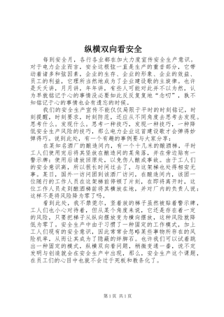 2024年纵横双向看安全