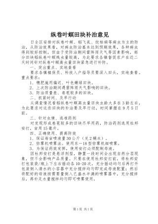 2024年纵卷叶螟田块补治意见