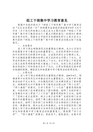 2024年组工干部集中学习教育意见