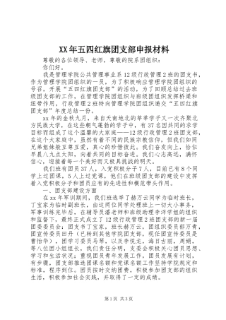 2024年五四红旗团支部申报材料