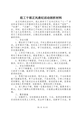 2024年组工干部正风肃纪活动剖析材料