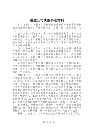 2024年组建公司典型事迹材料