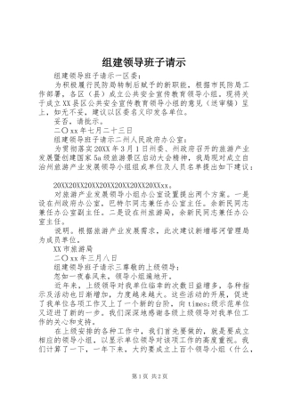 2024年组建领导班子请示