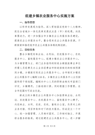 2024年组建乡镇农业服务中心实施方案