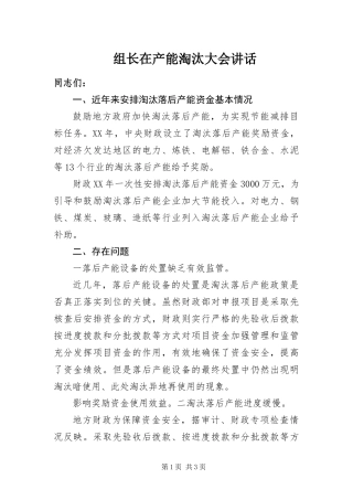 2024年组长在产能淘汰大会致辞