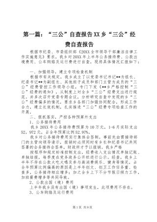 2024年三公自查报告乡三公经费自查报告