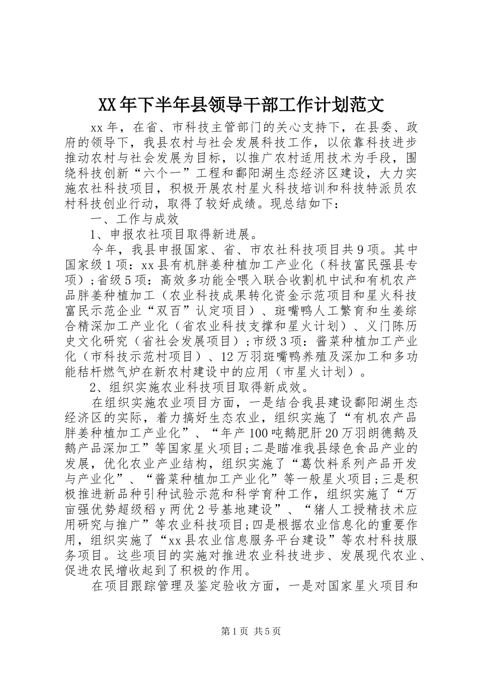 2024年下半年县领导干部工作计划范文_第1页
