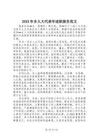 2024年乡人大代表年述职报告范文