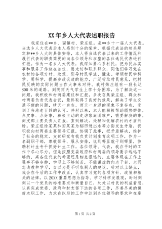 2024年乡人大代表述职报告