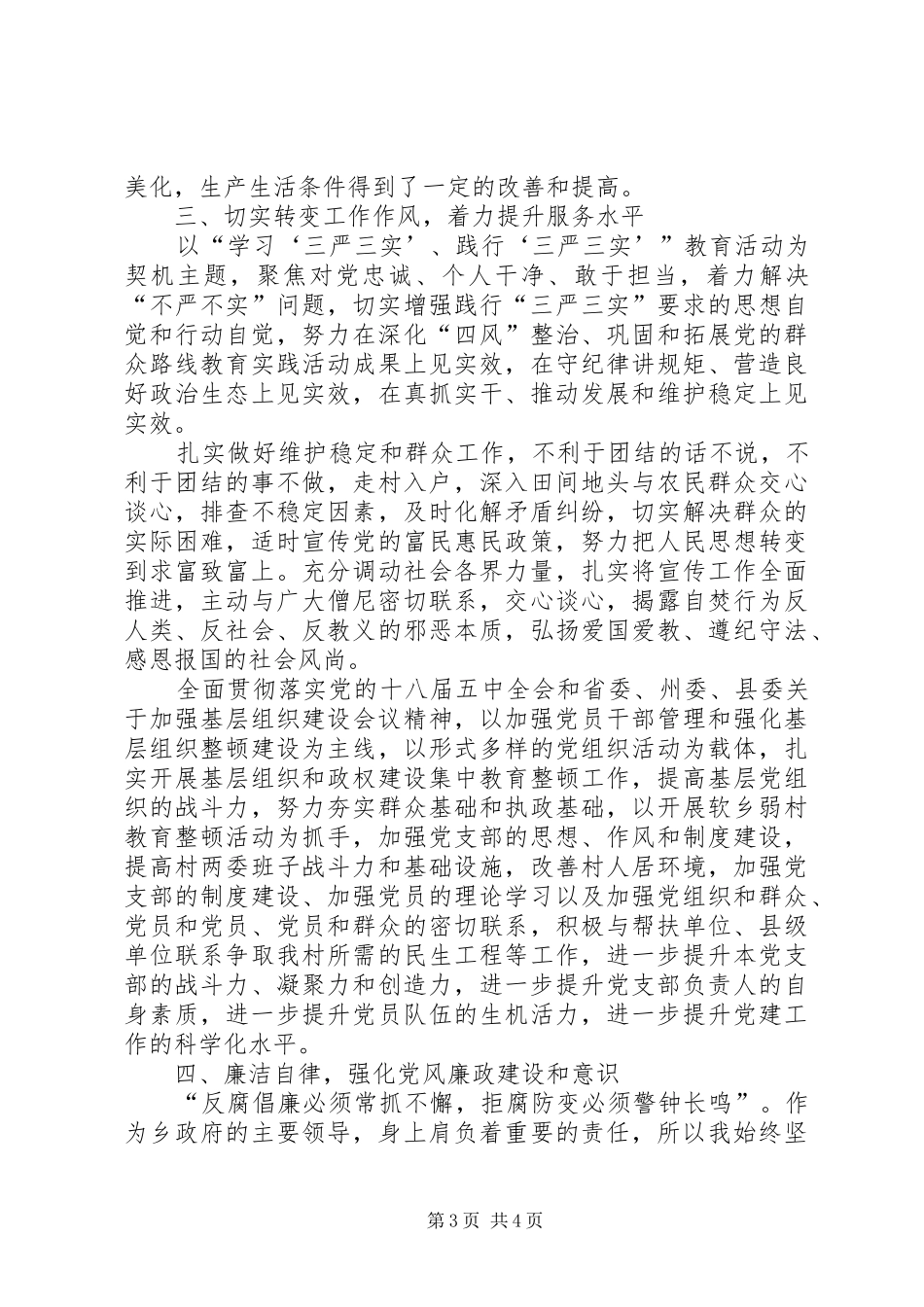 2024年乡长述责述廉报告_第3页