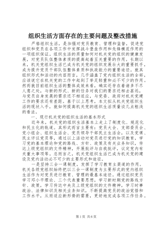 2024年组织生活方面存在的主要问题及整改措施