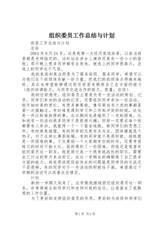 2024年组织委员工作总结与计划