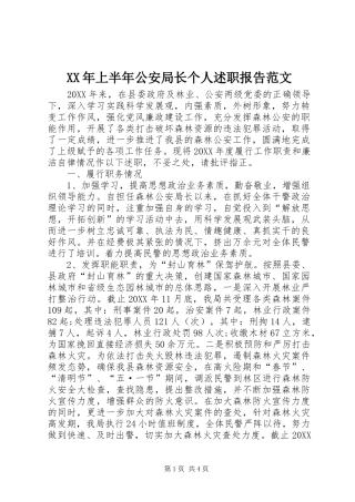 2024年上半年公安局长个人述职报告范文