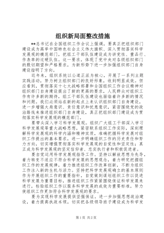 2024年组织新局面整改措施