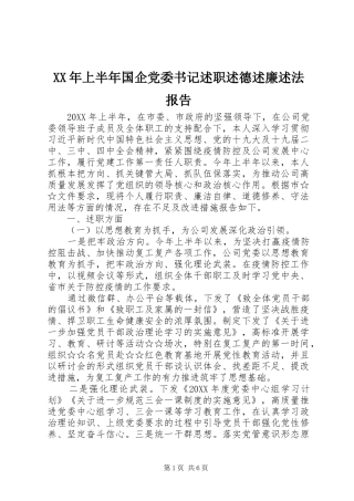2024年上半年国企党委书记述职述德述廉述法报告