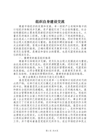 2024年组织自身建设交流