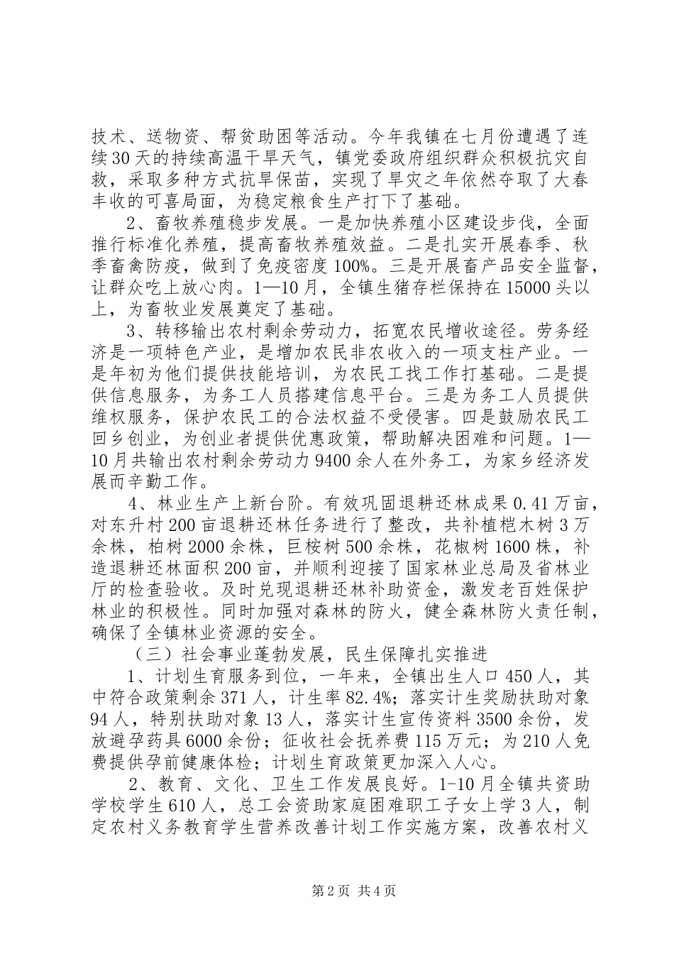 2024年乡镇工作总结暨工作计划_第2页