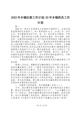 2024年乡镇纪委工作计划乡镇药具工作计划