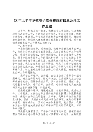 2024年上半年乡镇电子政务和政府信息公开工作总结
