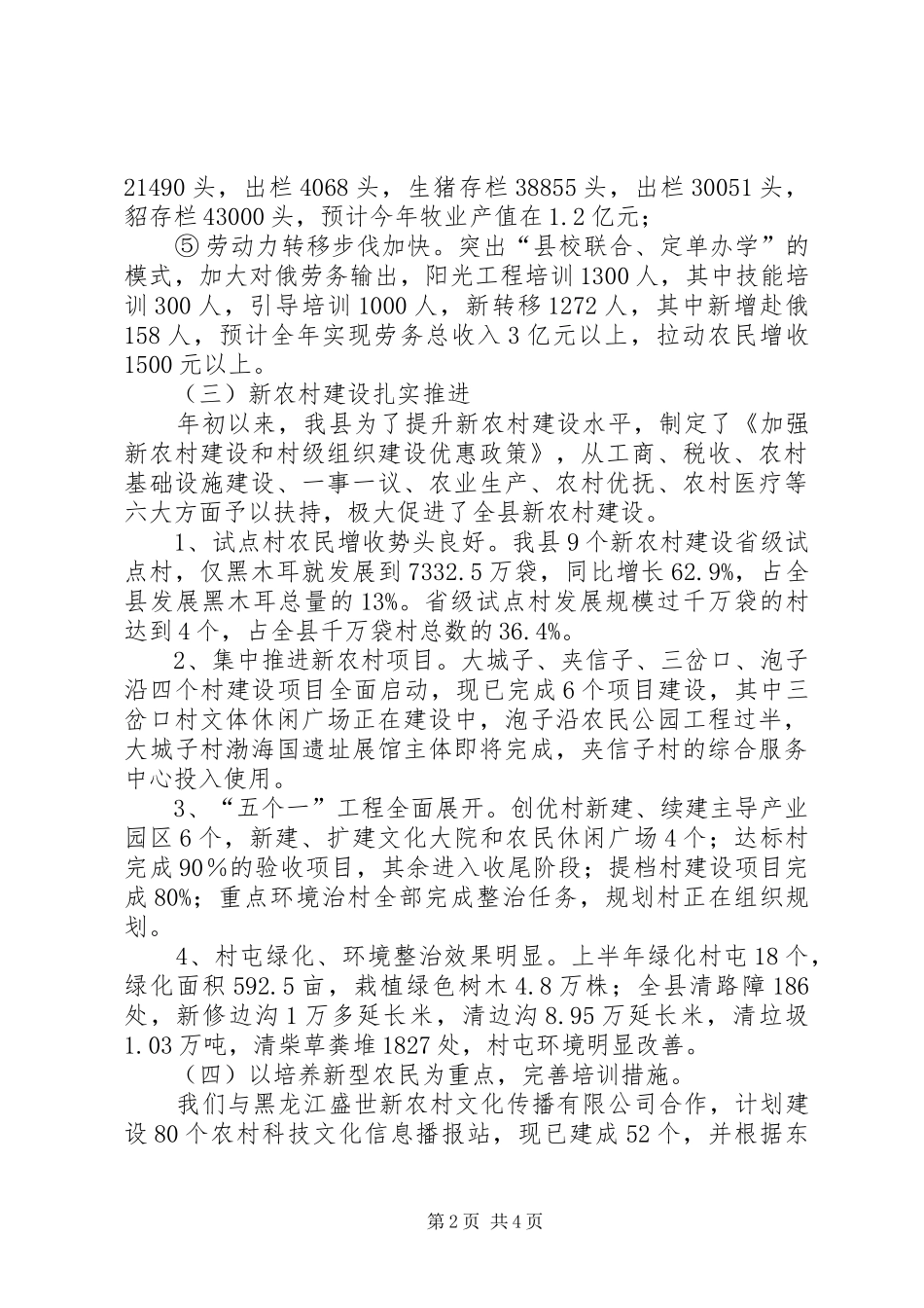 2024年上半年新农村建设总结_第2页