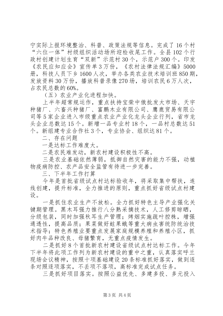 2024年上半年新农村建设总结_第3页