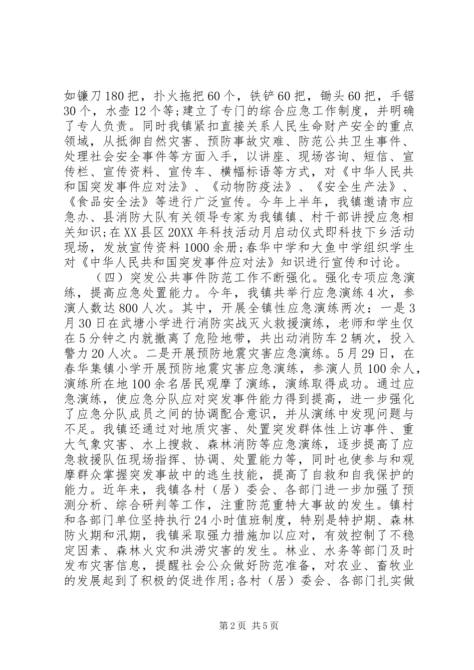 2024年乡镇应急管理工作总结_第2页