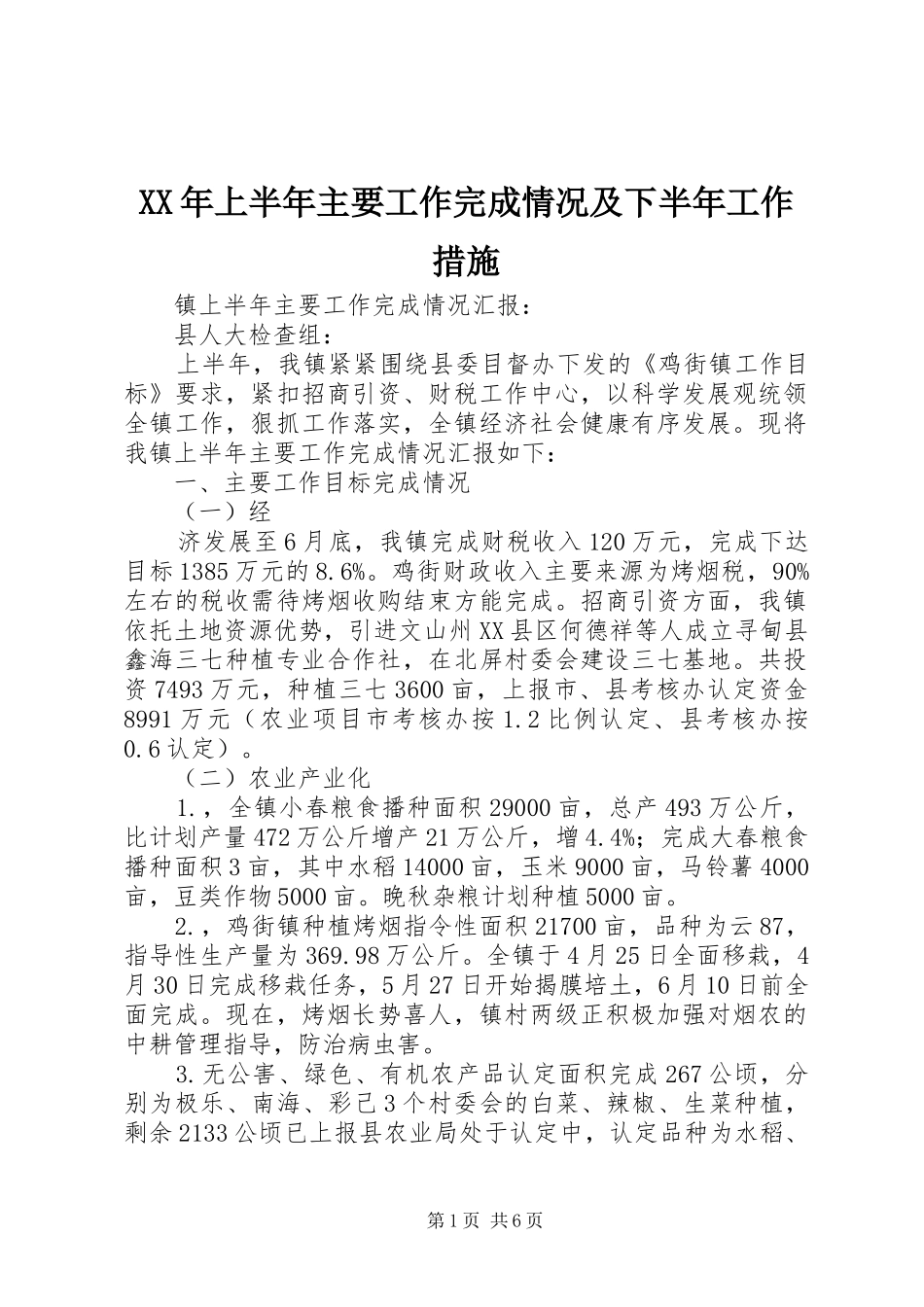 2024年上半年主要工作完成情况及下半年工作措施_第1页