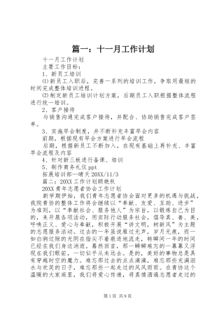 2024年十一月工作计划