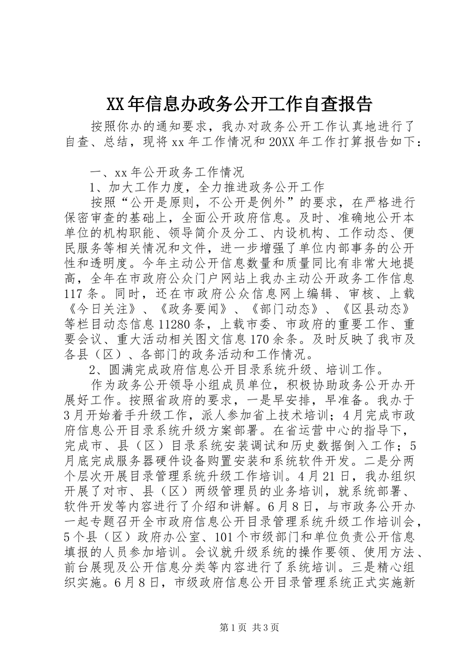 2024年信息办政务公开工作自查报告_第1页
