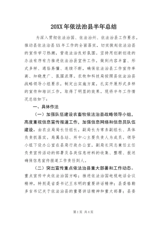 2024年依法治县半年总结