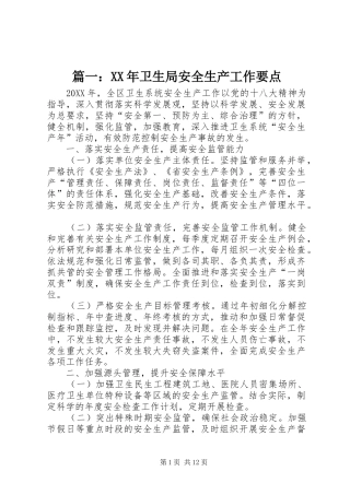2024年卫生局安全生产工作要点