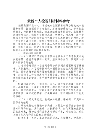 2024年最新个人检视剖析材料参考