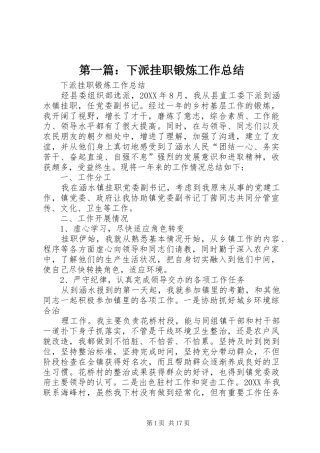 2024年下派挂职锻炼工作总结
