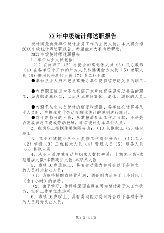 2024年中级统计师述职报告