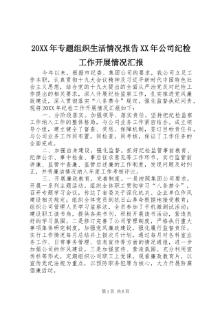 2024年专题组织生活情况报告公司纪检工作开展情况汇报