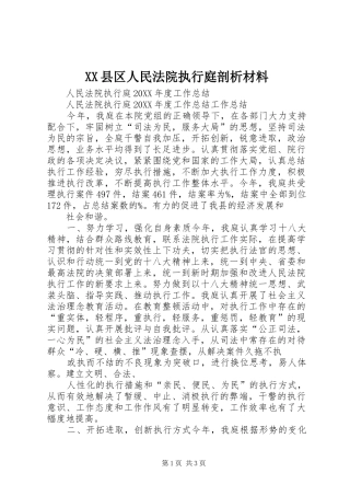 2024年县区人民法院执行庭剖析材料