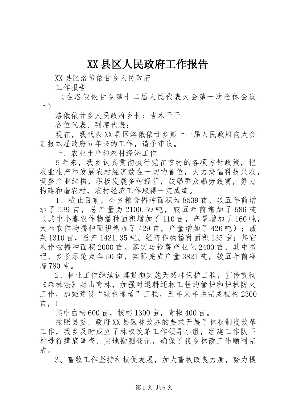 2024年县区人民政府工作报告_第1页