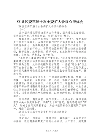 2024年县区委三届十次全委扩大会议心得体会