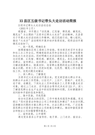 2024年县区五级书记带头大走访活动简报