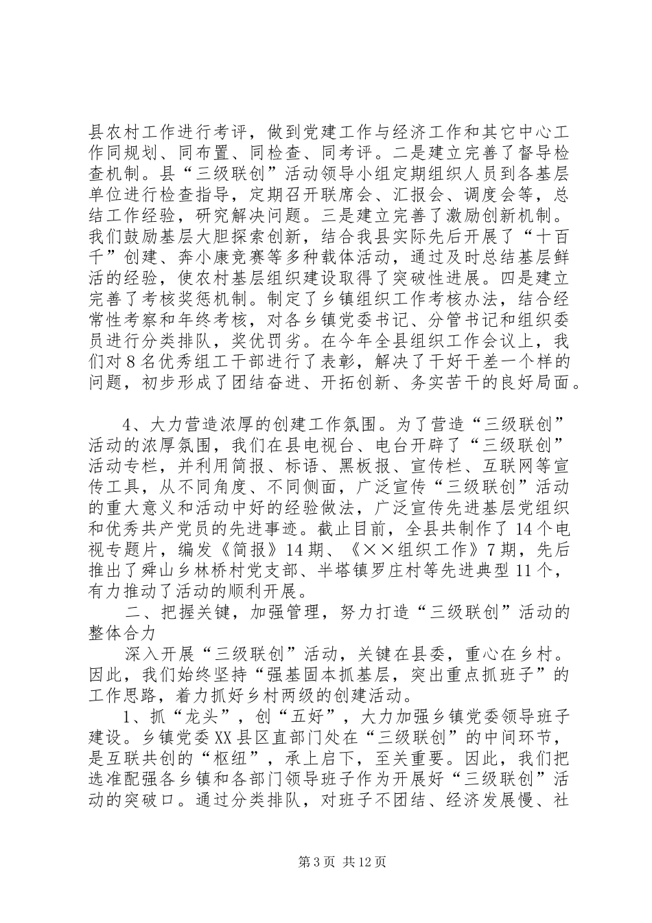 2024年县争创省级农村基层组织建设先进县工作纪实_第3页