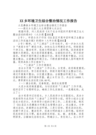 2024年乡环境卫生综合整治情况工作报告