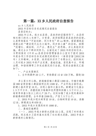 2024年乡人民政府自查报告