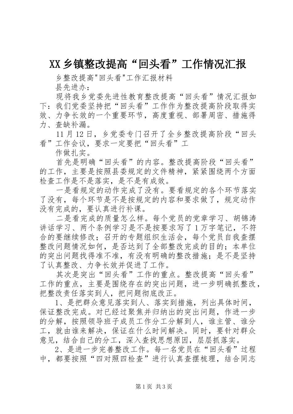 2024年乡镇整改提高回头看工作情况汇报_第1页
